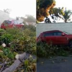 idosa-morre-apos-ser-atingida-por-carro-na-calcada-de-casa-em-garrote,-caucaia