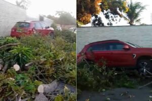 idosa-morre-apos-ser-atingida-por-carro-na-calcada-de-casa-em-garrote,-caucaia