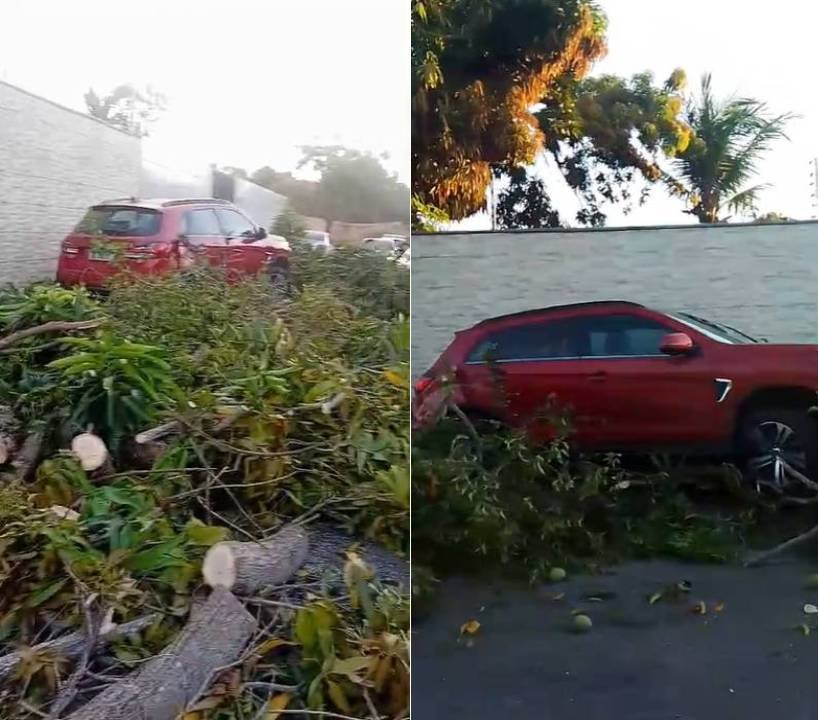 idosa-morre-apos-ser-atingida-por-carro-na-calcada-de-casa-em-garrote,-caucaia