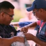 vacinacao-contra-a-raiva-para-caes-e-gatos-em-fortaleza-tera-novo-dia-d-em-novembro;-confira-a-data