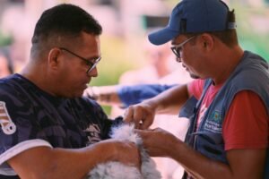 vacinacao-contra-a-raiva-para-caes-e-gatos-em-fortaleza-tera-novo-dia-d-em-novembro;-confira-a-data