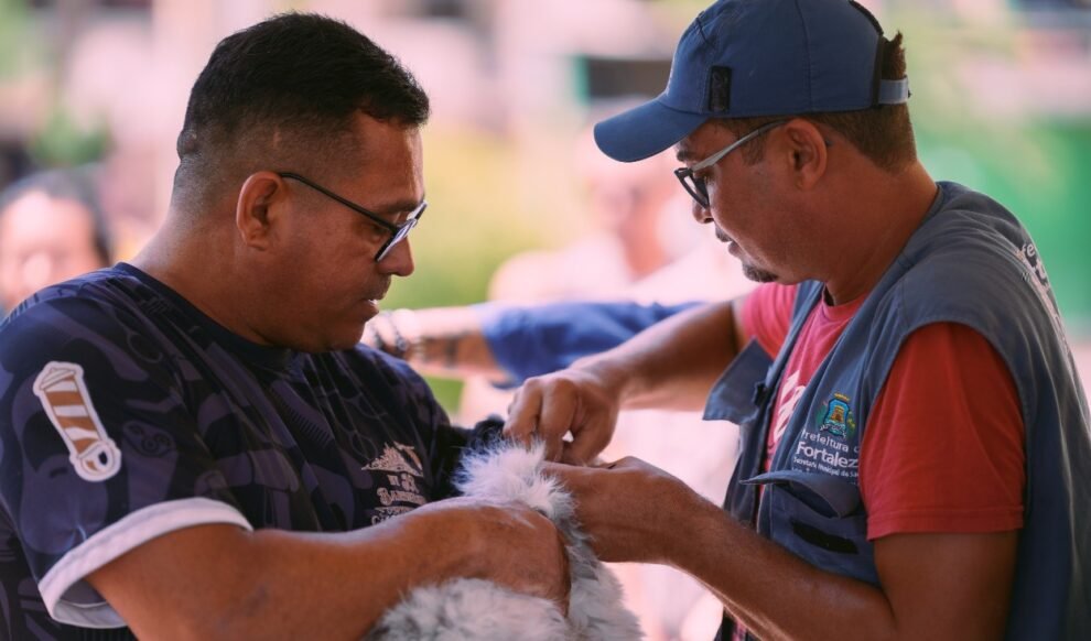vacinacao-contra-a-raiva-para-caes-e-gatos-em-fortaleza-tera-novo-dia-d-em-novembro;-confira-a-data