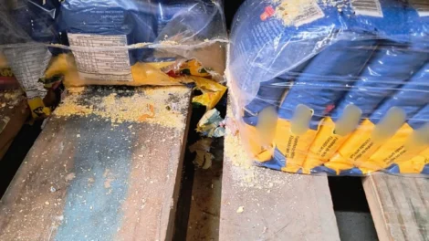 supermercado-e-interditado-em-fortaleza-por-infestacao-de-roedores-e-risco-a-saude