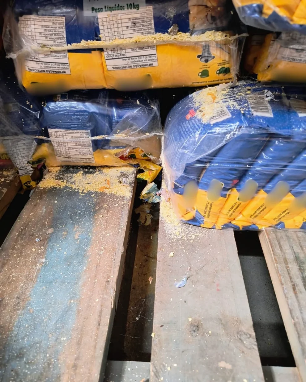 supermercado-e-interditado-em-fortaleza-por-infestacao-de-roedores-e-risco-a-saude