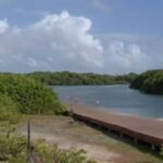 conferencia-em-fortaleza-debate-ampliacao-de-areas-de-protecao-ambiental-prevista-no-novo-plano-diretor