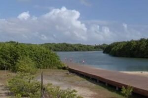 conferencia-em-fortaleza-debate-ampliacao-de-areas-de-protecao-ambiental-prevista-no-novo-plano-diretor