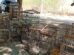 policia-resgata-135-aves-silvestres-e-4-tatus-mantidos-em-cativeiro-em-crateus,-no-ceara