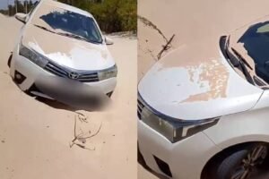carro-colide-com-duna-e-atola-em-areia-acumulada-sobre-rodovia-estadual-em-barroquinha,-no-ceara