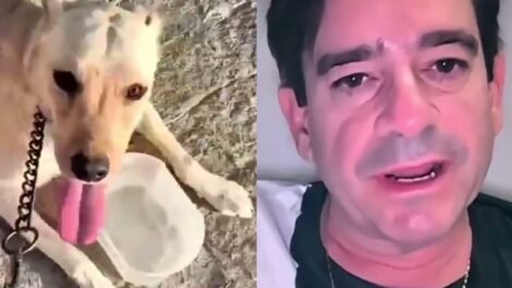cantor-da-banda-styllus-e-atacado-por-pitbulls-enquanto-passeava-com-o-proprio-cachorro,-no-ceara
