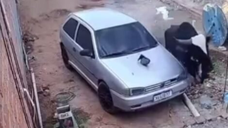 boi-descontrolado-persegue-moradores,-danifica-carro-e-invade-casa-em-juazeiro-do-norte/ce