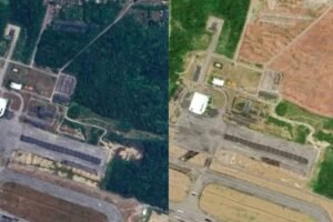 mpce-confirma-que-area-desmatada-na-floresta-do-aeroporto,-em-fortaleza,-era-de-mata-atlantica
