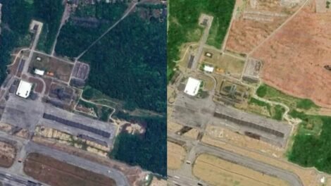 mpce-confirma-que-area-desmatada-na-floresta-do-aeroporto,-em-fortaleza,-era-de-mata-atlantica