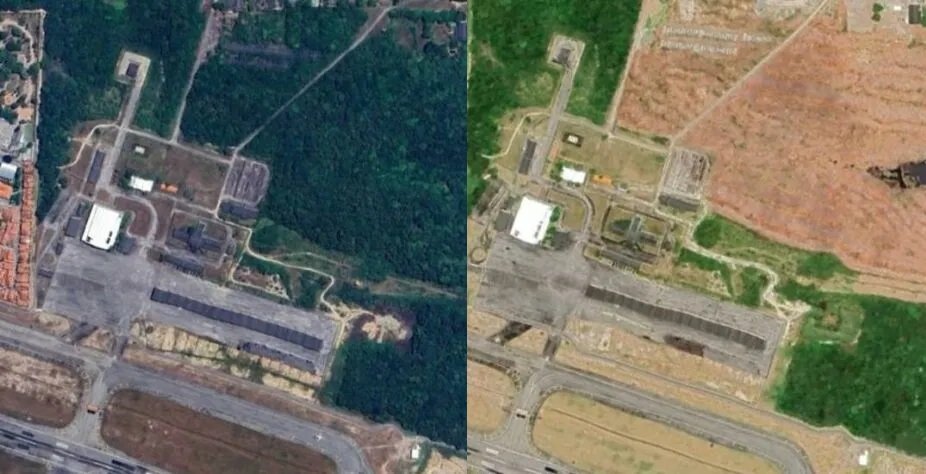 mpce-confirma-que-area-desmatada-na-floresta-do-aeroporto,-em-fortaleza,-era-de-mata-atlantica