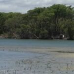 novo-plano-diretor-preve-criacao-de-tres-zects;-entenda-o-que-sao-e-onde-estao-localizadas