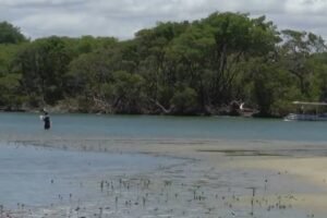 novo-plano-diretor-preve-criacao-de-tres-zects;-entenda-o-que-sao-e-onde-estao-localizadas