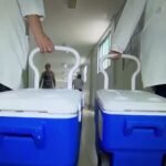 transplantes-de-rim-e-figado-estao-entre-os-mais-realizados-no-brasil-e-no-mundo