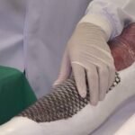 ufc-inaugura-laboratorio-dedicado-a-pesquisa-da-pele-de-tilapia-em-fortaleza