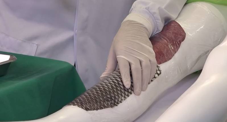 ufc-inaugura-laboratorio-dedicado-a-pesquisa-da-pele-de-tilapia-em-fortaleza