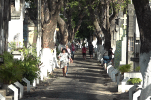 dia-de-finados:-confira-programacao-de-missas-em-cemiterios-e-igrejas-de-fortaleza