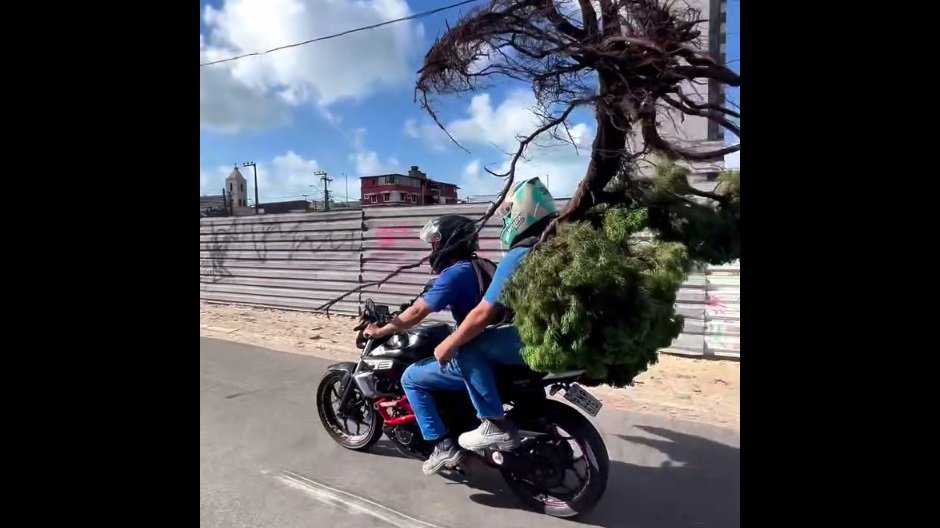 homem-e-flagrado-levando-arvore-em-garupa-de-moto-em-fortaleza;-veja-o-video
