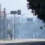 incendio-e-registrado-em-area-de-vegetacao-na-avenida-osorio-de-paiva,-em-fortaleza