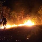 tecnologia-criada-no-ifce-pode-ajudar-na-prevencao-de-incendios-em-vegetacao