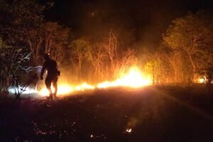 tecnologia-criada-no-ifce-pode-ajudar-na-prevencao-de-incendios-em-vegetacao