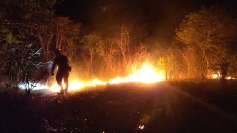 tecnologia-criada-no-ifce-pode-ajudar-na-prevencao-de-incendios-em-vegetacao