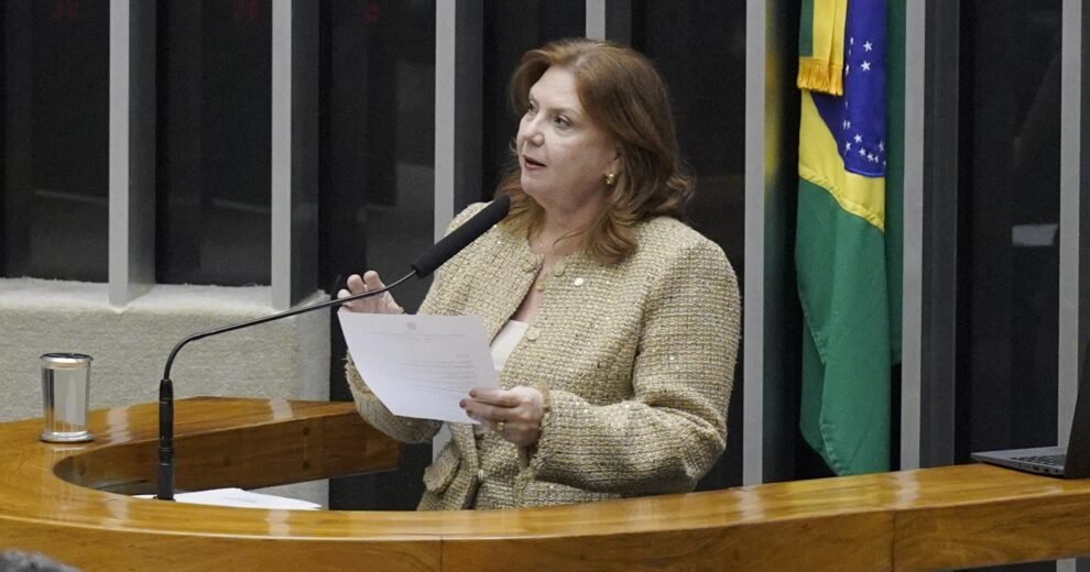 deputada-fernanda-pessoa-destaca-trajetoria-da-assembleia-legislativa-do-ceara-em-sessao-no-congresso