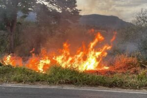 queimadas-crescem-mais-de-400%-no-ceara-durante-o-segundo-semestre-de-2025