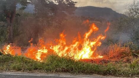 queimadas-crescem-mais-de-400%-no-ceara-durante-o-segundo-semestre-de-2025