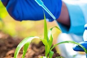 bioinsumos-ganham-forca-como-alternativa-sustentavel-para-elevar-a-produtividade-no-campo