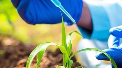 bioinsumos-ganham-forca-como-alternativa-sustentavel-para-elevar-a-produtividade-no-campo