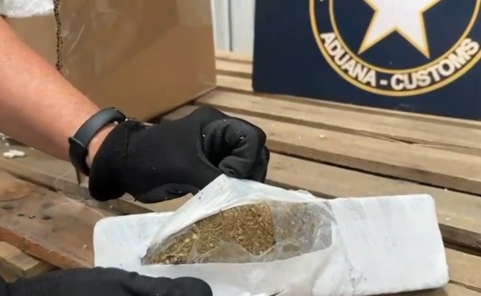 receita-apreende-em-fortaleza-carga-com-uma-tonelada-de-skunk,-avaliada-em-r$-5-milhoes