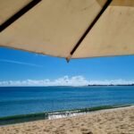 praia-de-iracema-e-mais-33-pontos-do-litoral-do-ceara-estao-liberados-para-banho,-aponta-semace