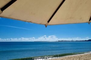 praia-de-iracema-e-mais-33-pontos-do-litoral-do-ceara-estao-liberados-para-banho,-aponta-semace