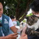 fortaleza-realiza-3o-dia-d-da-campanha-de-vacinacao-antirrabica-2025-neste-sabado-(29);-confira-locais