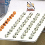 resultado-da-loteria-dos-sonhos-de-hoje-(05/12)-das-11h