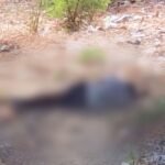 homem-e-encontrado-desmaiado-e-ensanguentado-apos-ter-bicicleta-roubada-em-fortaleza