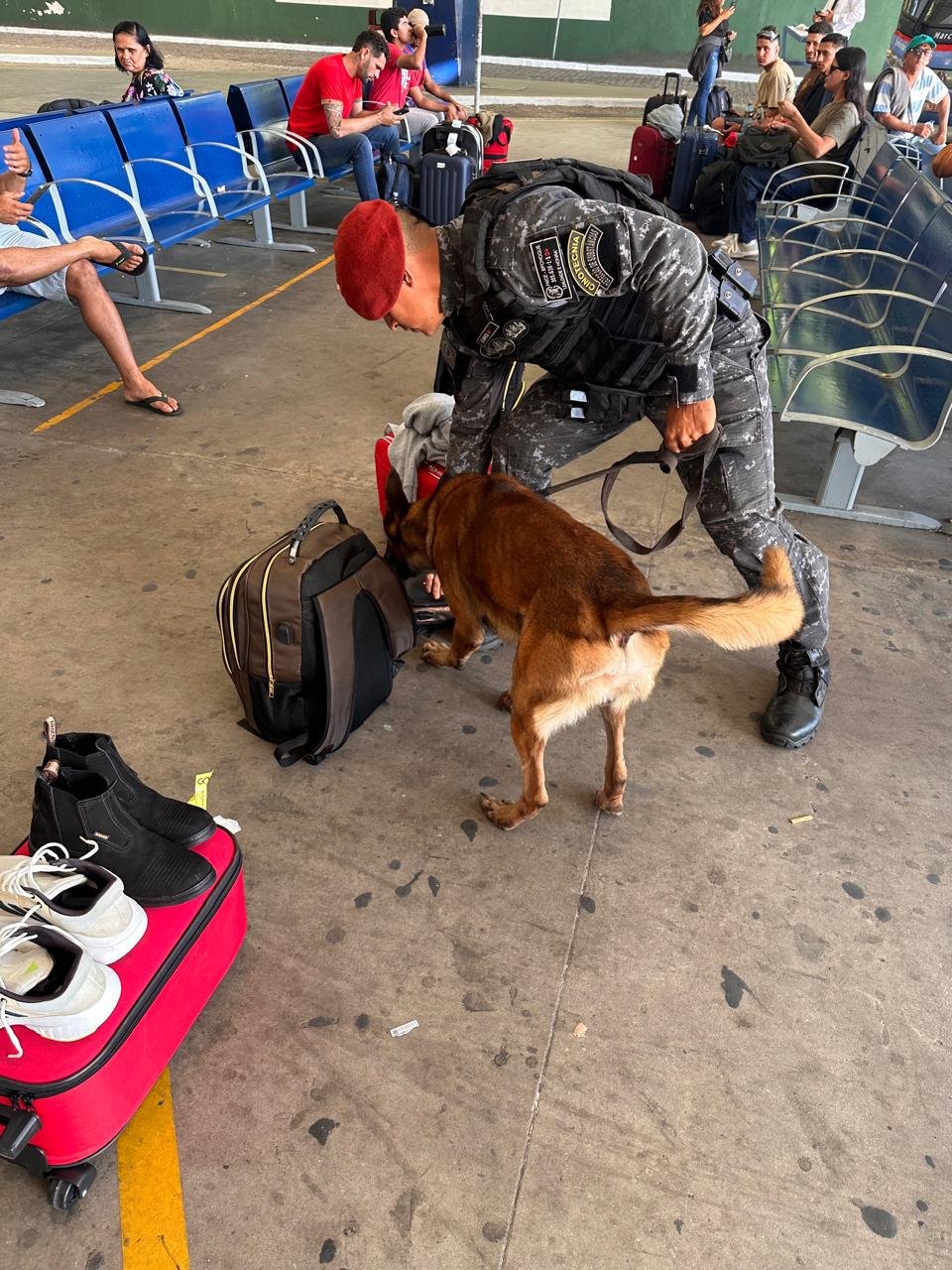 policia-faz-operacao-na-rodoviaria-de-fortaleza-e-apreende-29-quilos-de-drogas-em-bagagens