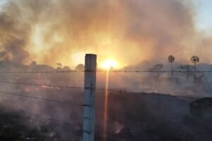 incendio-atinge-area-de-vegetacao-em-terreno-no-bairro-itaperi,-em-fortaleza