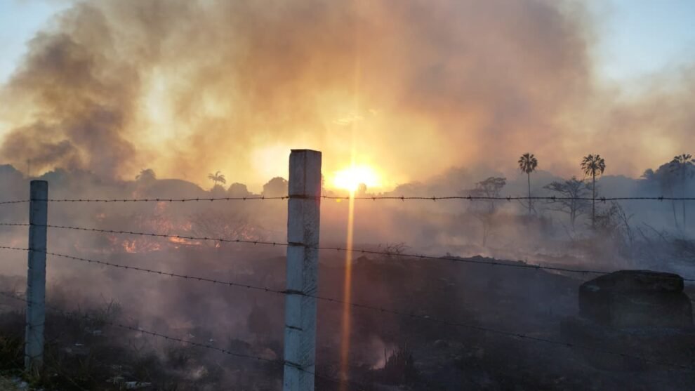 incendio-atinge-area-de-vegetacao-em-terreno-no-bairro-itaperi,-em-fortaleza