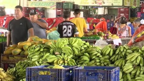 producao-de-frutas-no-ceara-deve-alcancar-2-milhoes-de-toneladas-em-2025