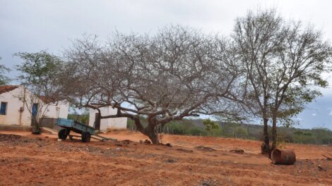 monitor-de-secas:-ceara-registra-maior-indice-de-seca-grave-em-quase-seis-anos