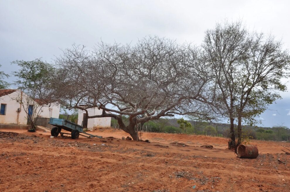 monitor-de-secas:-ceara-registra-maior-indice-de-seca-grave-em-quase-seis-anos