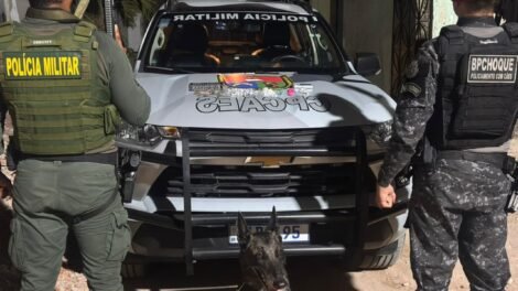 caes-farejadores-da-policia-militar-localizam-drogas-escondidas-a-margem-de-corrego-em-fortaleza