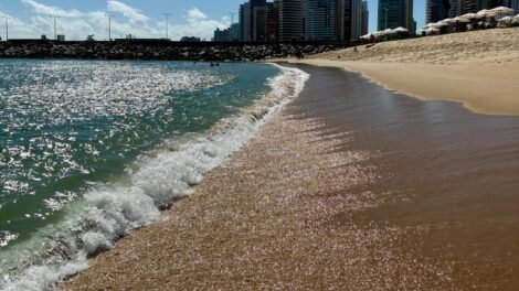 fortaleza-tem-24-trechos-de-praia-proprios-para-banho-neste-fim-de-semana