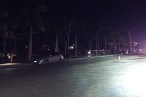 gato-invade-subestacao,-sofre-descarga-e-causa-apagao-de-12-minutos-em-cidade-do-ceara