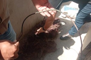 operacao-celari-prende-homem-e-apreende-fios-de-cobre-e-galos-em-itapipoca