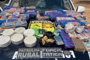 policia-militar-encontra-42-kg-de-drogas-enterradas-em-area-de-mata-em-sobral,-no-ceara